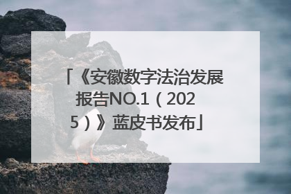 《安徽数字法治发展报告NO.1（2025）》蓝皮书发布