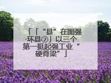 「“县”在图强·环县②」以三个第一挺起强工业“硬脊梁”