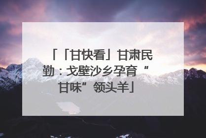 「甘快看」甘肃民勤：戈壁沙乡孕育“甘味”领头羊