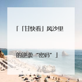「甘快看」风沙里的逆袭“密码”