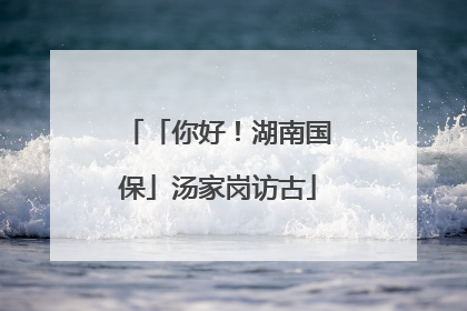 「你好！湖南国保」汤家岗访古