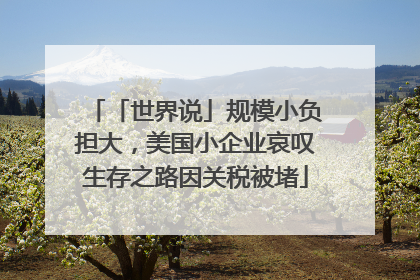 「世界说」规模小负担大，美国小企业哀叹生存之路因关税被堵