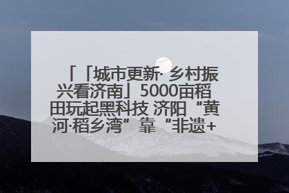 「城市更新· 乡村振兴看济南」5000亩稻田玩起黑科技 济阳“黄河·稻乡湾”靠“非遗+露营”火出圈