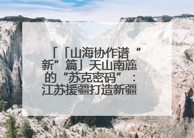 「山海协作谱“新”篇」天山南簏的“苏克密码”：江苏援疆打造新疆克州制造新引擎