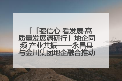 「强信心 看发展·高质量发展调研行」地企同频 产业共振——永昌县与金川集团地企融合推动重大项目建设