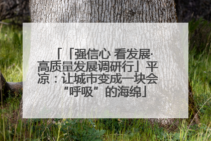 「强信心 看发展·高质量发展调研行」平凉:让城市变成一块会“呼吸”的海绵