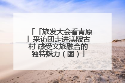 「旅发大会看青原」采访团走进渼陂古村 感受文旅融合的独特魅力（图）