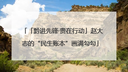 「黔进先锋·贵在行动」赵大志的“民生账本”画满勾勾