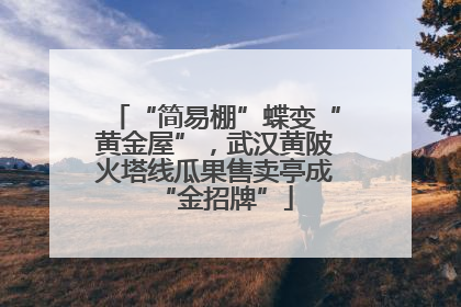 “简易棚”蝶变“黄金屋”，武汉黄陂火塔线瓜果售卖亭成“金招牌”