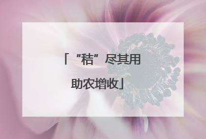 “秸”尽其用 助农增收