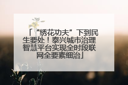 “绣花功夫”下到民生要处！泰兴城市治理智慧平台实现全时段联网全要素细治