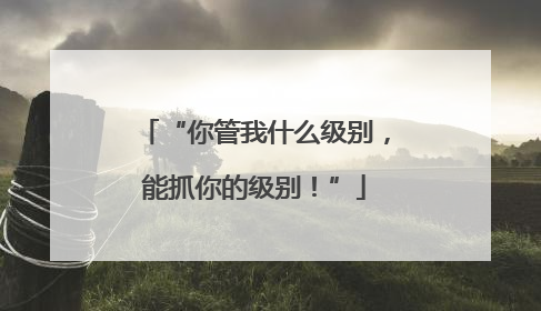“你管我什么级别，能抓你的级别！”