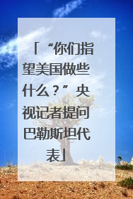 “你们指望美国做些什么？”央视记者提问巴勒斯坦代表