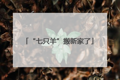 “七只羊”搬新家了