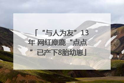 “与人为友”13年 网红麋鹿“点点”已产下8胎幼崽