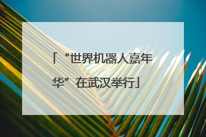 “世界机器人嘉年华”在武汉举行