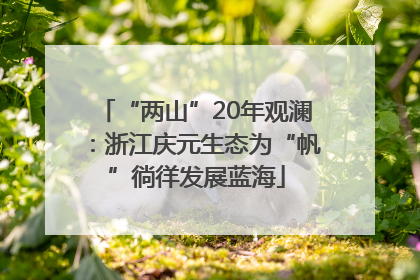 “两山”20年观澜：浙江庆元生态为“帆”徜徉发展蓝海