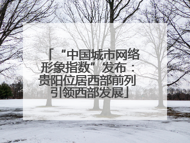 “中国城市网络形象指数”发布：贵阳位居西部前列 引领西部发展