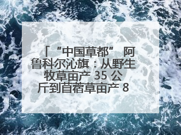 “中国草都” 阿鲁科尔沁旗：从野生牧草亩产 35 公斤到苜蓿草亩产 800 公斤以上