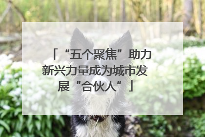 “五个聚焦”助力新兴力量成为城市发展“合伙人”