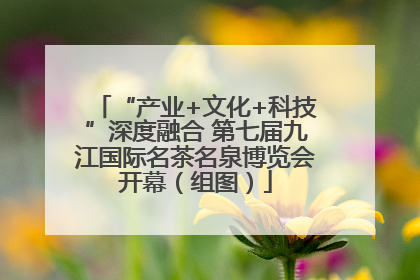 “产业+文化+科技”深度融合 第七届九江国际名茶名泉博览会开幕（组图）
