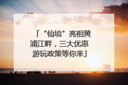 “仙境”亮相黄浦江畔，三大优惠游玩政策等你来