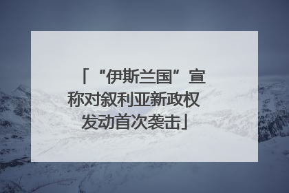 “伊斯兰国”宣称对叙利亚新政权发动首次袭击