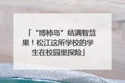 “博柿岛”结满智慧果！松江这所学校的学生在校园里探险