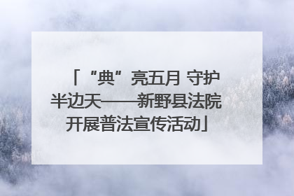 “典”亮五月 守护半边天——新野县法院开展普法宣传活动