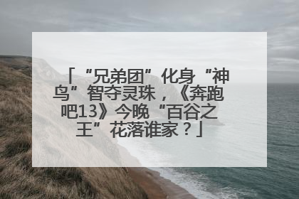 “兄弟团”化身“神鸟”智夺灵珠，《奔跑吧13》今晚“百谷之王”花落谁家？