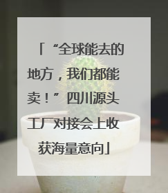 “全球能去的地方，我们都能卖！”四川源头工厂对接会上收获海量意向