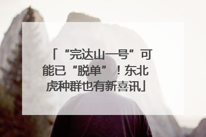 “完达山一号”可能已“脱单”！东北虎种群也有新喜讯