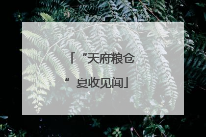 “天府粮仓”夏收见闻
