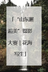 “山东邂逅美”摄影大赛｜花海写生