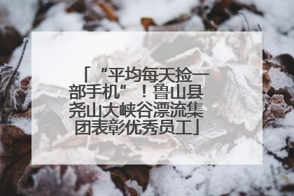 “平均每天捡一部手机”！鲁山县尧山大峡谷漂流集团表彰优秀员工