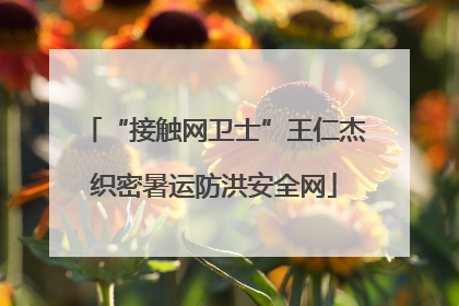 “接触网卫士”王仁杰织密暑运防洪安全网