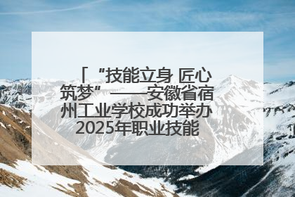 “技能立身 匠心筑梦”——安徽省宿州工业学校成功举办2025年职业技能活动周各项活动