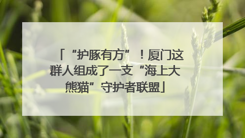 “护豚有方”！厦门这群人组成了一支“海上大熊猫”守护者联盟