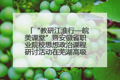 “教研江淮行—皖美课堂”暨安徽省职业院校思想政治课程研讨活动在芜湖高级职业技术学校举行
