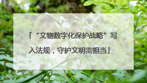 “文物数字化保护战略”写入法规，守护文明需担当