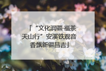 “文化润疆·福茶天山行”安溪铁观音香飘新疆昌吉