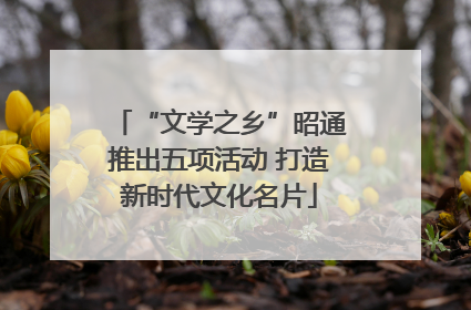 “文学之乡”昭通推出五项活动 打造新时代文化名片