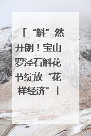“斛”然开朗！宝山罗泾石斛花节绽放“花样经济”