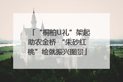 “桐柏U礼”架起助农金桥 “朱砂红桃”绘就振兴图景