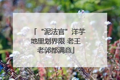 “泥法官”洋芋地里划界限 老王老郭都满意