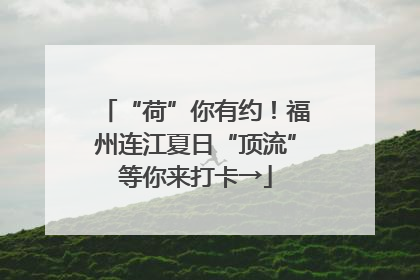 “荷”你有约！福州连江夏日“顶流”等你来打卡→