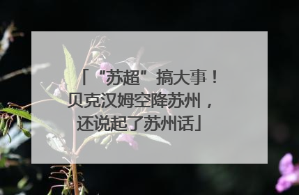“苏超”搞大事！贝克汉姆空降苏州，还说起了苏州话