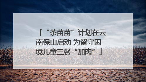 “茶苗苗”计划在云南保山启动 为留守困境儿童三餐“加肉”