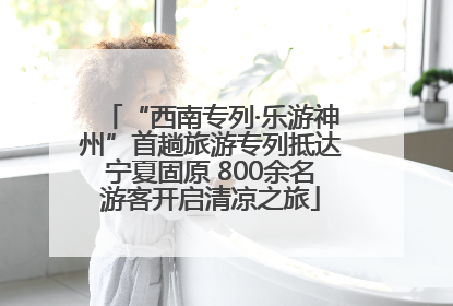 “西南专列·乐游神州”首趟旅游专列抵达宁夏固原 800余名游客开启清凉之旅