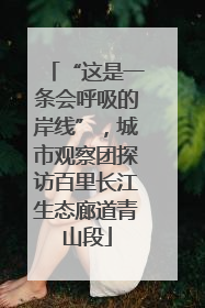 “这是一条会呼吸的岸线”，城市观察团探访百里长江生态廊道青山段
